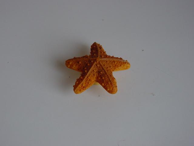 T_ BÚTORFOGANTYÚ H 023-55 TENGERI CSILLAG GOMB SOKSZÍNŰ 0