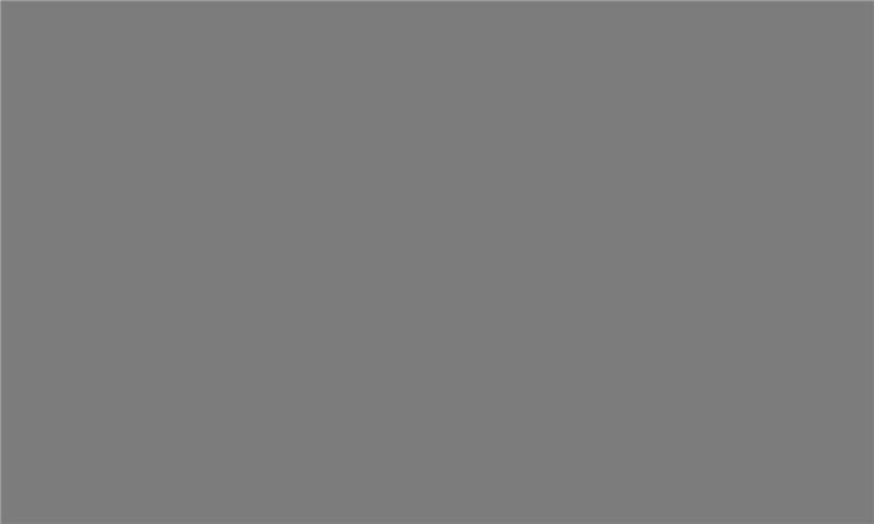 IDEA PET Fényes GL-081 iS Silver dust 2800 x 1300 x 18 0