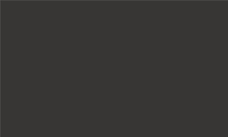 IDEA PET Matt MT-082 iS Graphite night 2800 x 1300 x 18 0