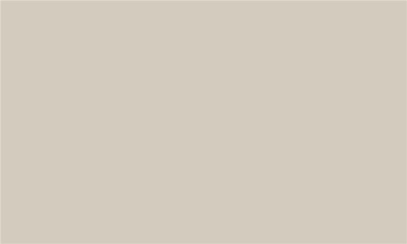 IDEA PET Fényes GL-05 iS Cream 2800 x 1300 x 18 0