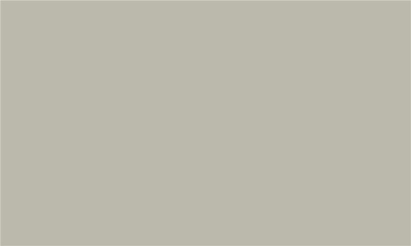 IDEA PET Fényes GL-06 iS Latte 2800 x 1300 x 18 0
