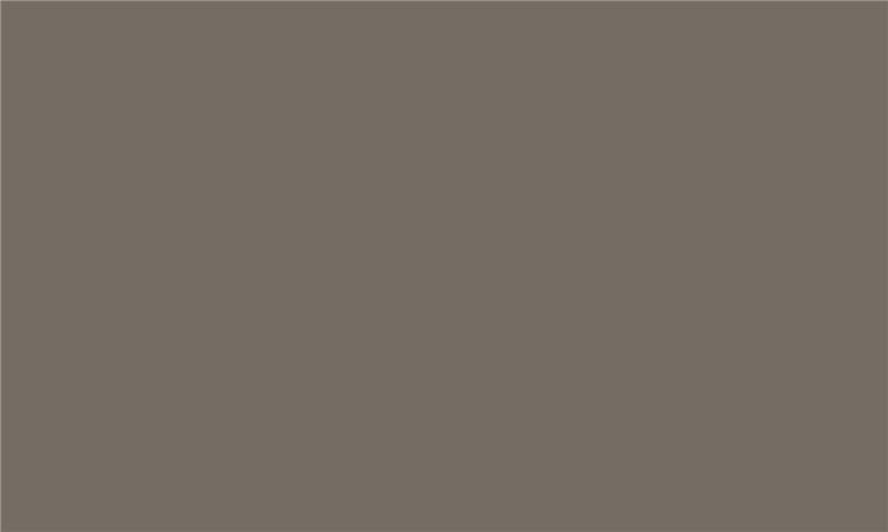 IDEA PET Fényes GL-09 iS Grey taupe 2800 x 1300 x 18 0