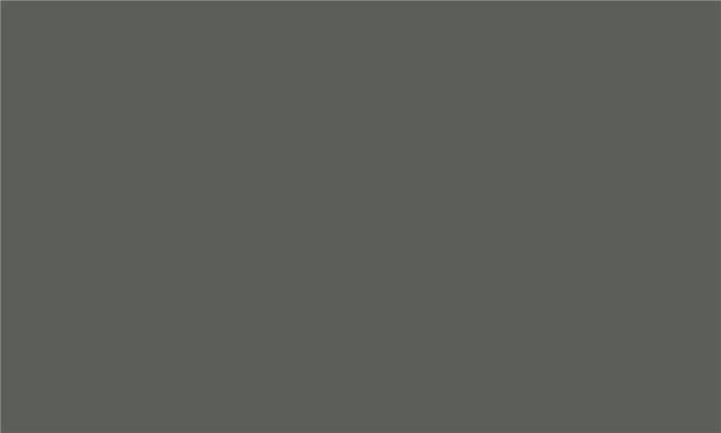 IDEA PET Matt MT-010 iS Sulphur 2800 x 1300 x 18 0