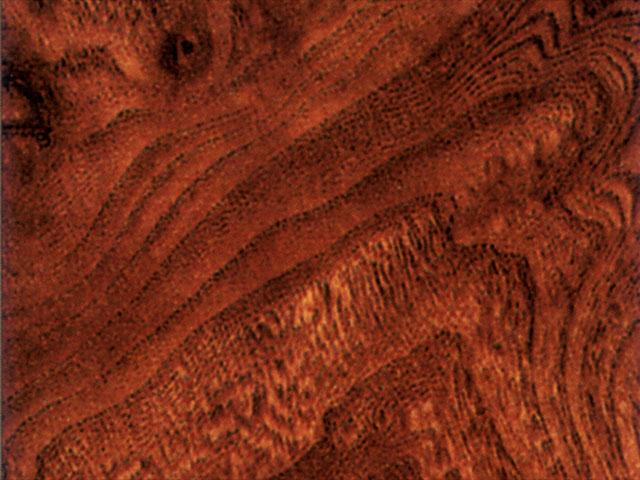 982 Radica Rosa GL RÓZSAGYÖKÉR 4200×1300mm 0