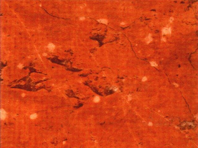 VIZZÁRÓ WF5 GL ALICANTE 4,2 fm VÖRÖS MÁRVÁNY 0