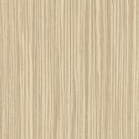 Forg.lap 0403 SWI Zebrámo Homok 275x183 KIFUTÓ!!! 0